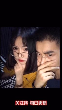 拯救机灵鸟