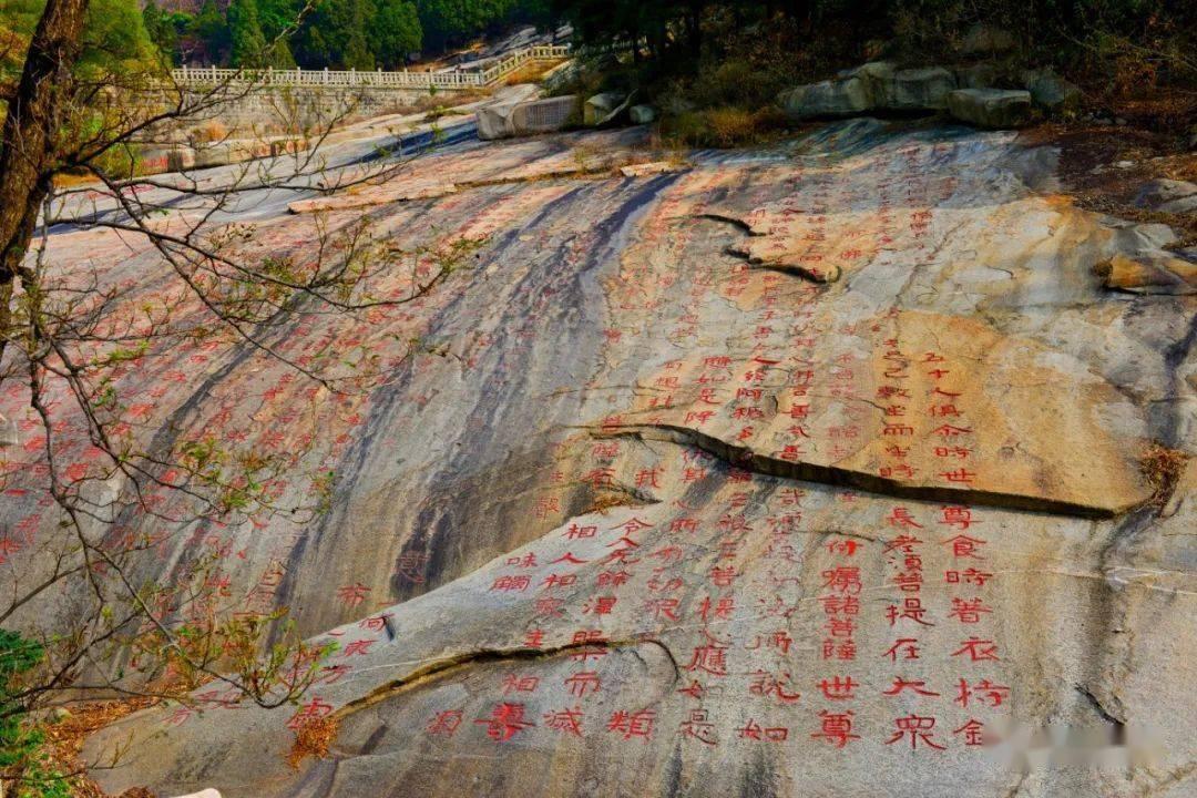 俄军又赢一次,泽连斯基却向自己人“挥刀”,将乌克兰送上绝路?